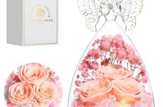 Tiaronics Mothers Day Rose Gifts for Women Preserved Real Flower in Glass Angel
