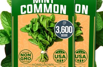 HOME GROWN Premium Common Mint Seeds (Bulk Pack) 3