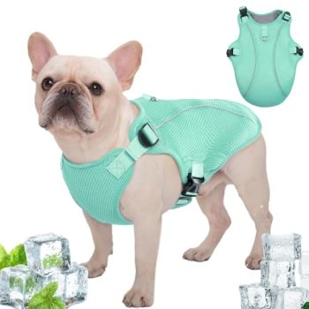 Kuoser Dog Cooling Vest Harness