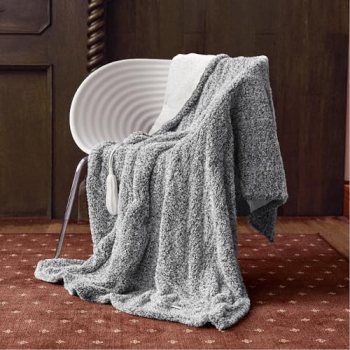 Templewet Heated Blanket Throw 50″ x 60″,Cute Electric Blanket,Racoon Gray