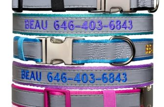 Reflective Personalized Dog Collar