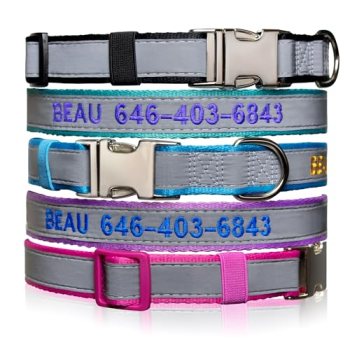 Reflective Personalized Dog Collar