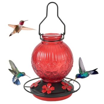 Glass Hummingbird Feeders for Outdoors Hanging