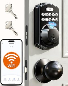 Veise VE012W-K Built-in WiFi Fingerprint Smart Lock with 2 Knobs