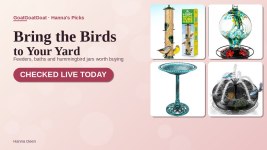 Hanna’s Backyard Birding Roundup