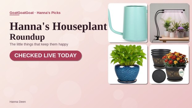 Hanna’s Houseplant Roundup