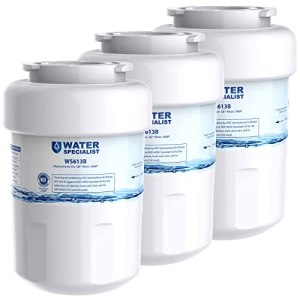 Waterspecialist WS613B Water Filter, Replacement for GE® MWF®, 3 Pack