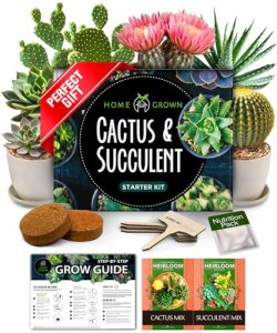 HOME GROWN Succulent & Cactus Seed Starter Kit, DIY Gardening Gift