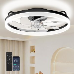 20 Inch Ceiling Fan Light with Lights and Remote, Easy Install Ceiling Fans
