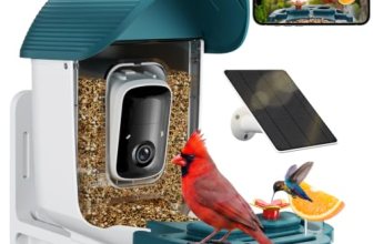 Bird Feeder with Camera Solar Powered
