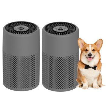 Air Purifiers for Bedroom, Dorm Room, True HEPA Filter for Smoke, Grey