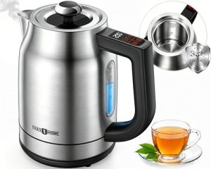 Electric Kettle with Temperature Control