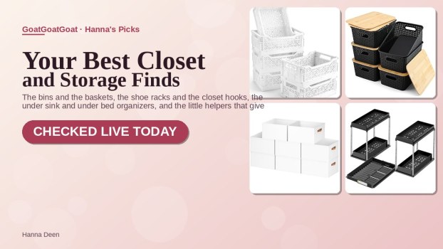 Hanna’s Closet and Storage Roundup