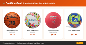 Champion & Wilson Sports Balls on Sale