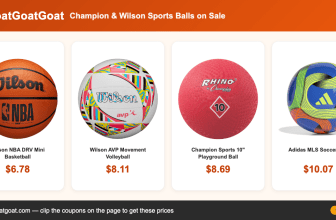 Champion & Wilson Sports Balls on Sale