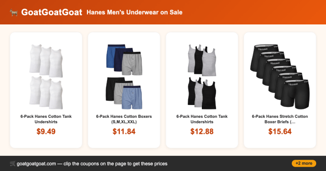 Hanes Men’s Underwear on Sale