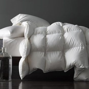 Premium Feathers Down Comforter Queen Size All Season White Duvet Insert