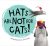 Hats Are Not for Cats!: A Silly Rhyming Picture Book About Cats