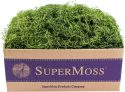 SuperMoss (26927) Spanish Moss Preserved, Grass, 3lbs For $14
