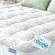 Niagara Sleep Solution Ultra Soft Queen Size Mattress Topper