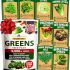 HOME GROWN Zinnia Dahlia Seeds Pack for 2026 Non GMO 524 Flower Seeds