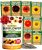 HOME GROWN Sunflower Seeds for Planting