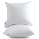 Leeden 18×18 Pillow Inserts Set of 2
