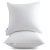 Leeden 18×18 Pillow Inserts Set of 2