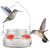 Is the Hummingbird Feeder for Outdoors Worth It? 50% Off Amazon Deal Reviewed