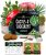 HOME GROWN Succulent & Cactus Seed Starter Kit, DIY Gardening Gift