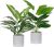 Der Rose 2 Pack Fake Plants Artificial Tropical Faux Plants Indoor for Office De