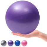 MOMPLUS 9 Inch Exercise Pilates Mini Yoga Balls Barre for Home Stability Squishy