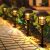 LETMY Solar Pathway Lights Outdoor