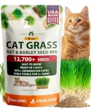 HOME GROWN Non GMO 1 Pound Cat Grass 12