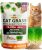 HOME GROWN Non GMO 1 Pound Cat Grass 12