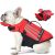 Petglad Dog Life Jacket, Cute Wings Adjustable Dog Life Vest with Chin Float and