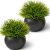 Fake Succulents Plants Artificial in Premium Ceramic Pots (2 Pack Round) Realist