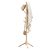 Haddockway Wooden Coat Rack Stand with 8 Hooks New Zealand Pine 3 Adjustable Coa