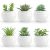 Der Rose 6 Pack Succulents Fake Plants for Bedroom Bathroom Home Decor
