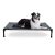 K&H Pet Products Outdoor Elevated Dog Cot