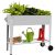 LEETOLLA 𝐑𝐚𝐢𝐬𝐞𝐝 𝐆𝐚𝐫𝐝𝐞𝐧 𝐁𝐞𝐝 𝐎𝐮𝐭𝐝𝐨𝐨𝐫 Elevate Herb Garden Planter Box Outdoor Raise