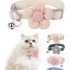 Tewiwap No Pull Small Dog Harness and Leash Set