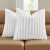 FUTEI White Decorative Throw Pillow Covers Set of 2