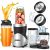 Ganiza Smoothie Blender, 900W Blenders for Shakes and Smoothies