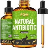 Dog Antibiotics for Infections, Cough, & Teeth Moments