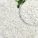 SHIZWU 5lbs White Pebbles for Indoor Plants