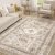 Vintage Living Room Area Rug 5×7