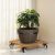 2pack Wood Plant Caddy With Wheels Heavy Duty