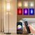 FRIDEKO HOME Floor Lamp, 9W 800LM Color Changing Smart Lamp with Music Sync