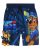 Nickelodeon Boys Swim Trunks – Paw Patrol TMNT Quick Dry Graphic Boys Swim Short